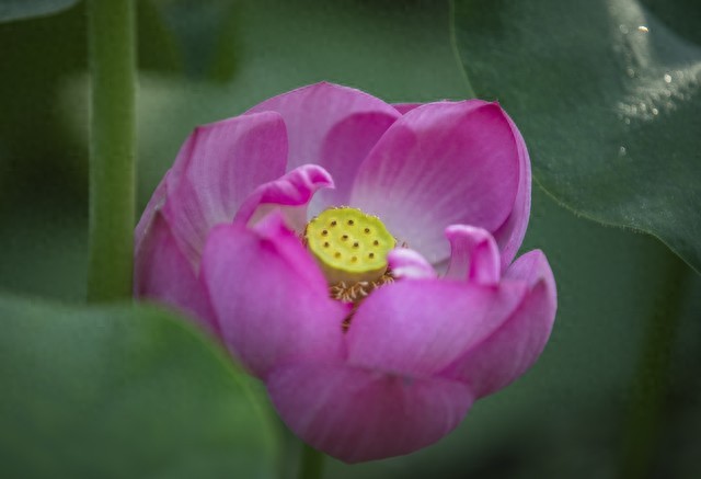 高考化学解题有妙招！三步模型调用+规范解答深度复盘