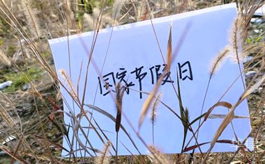 廊坊端午节限号吗？附限行时间及不受限车辆规定